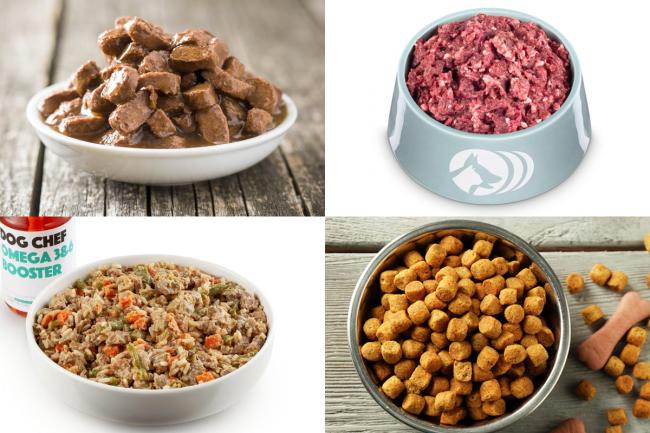 choosing your dog's diet