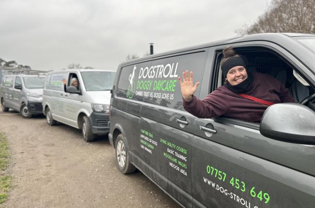 Dog Pickup in and around Wimbledon
