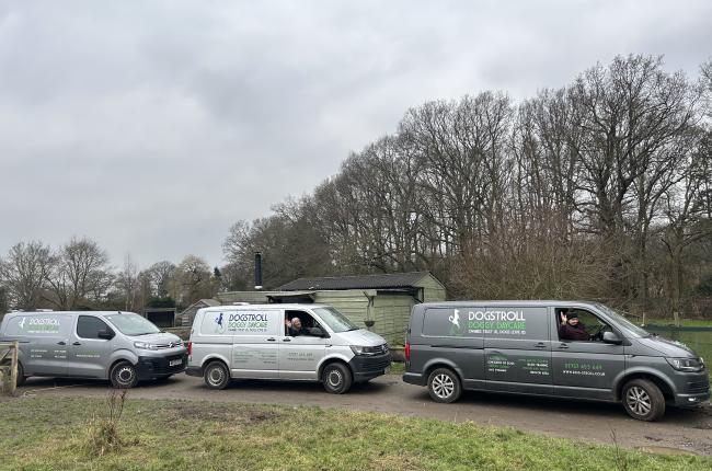 Dogstroll Vans