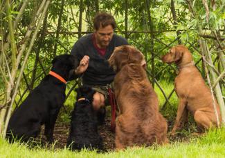 importance of dog education