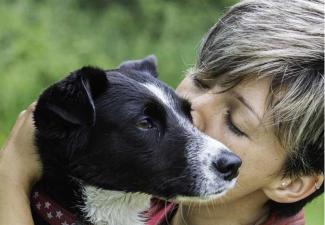 affection with your dog