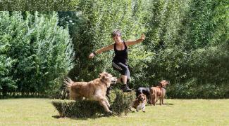 activities to do with your dog