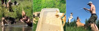 dog water activities