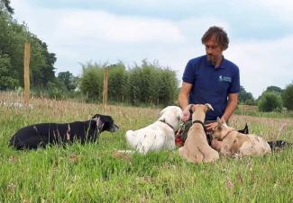 dog education