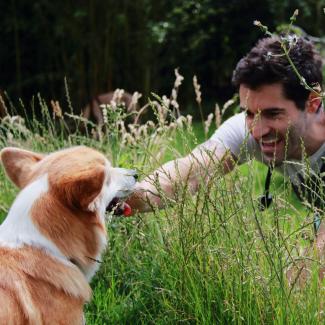 dog vet visits on site at dogstroll daycare centre
