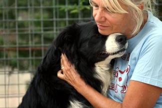 grateful adopted shelter dog