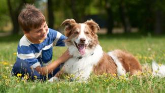 introducing your adopted dog to children
