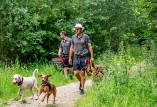 Woodland Walks