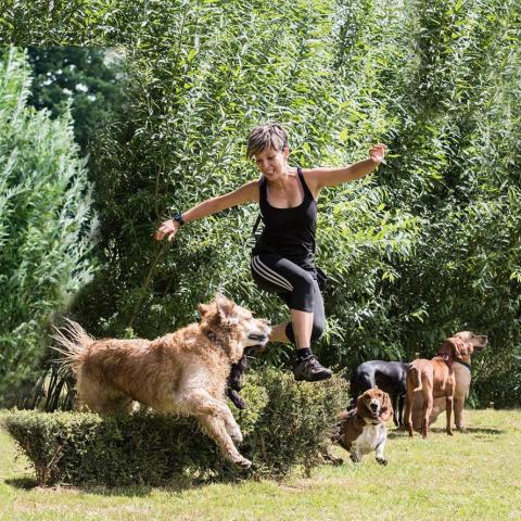 activities to do with your dog