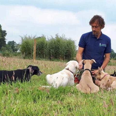 dog education