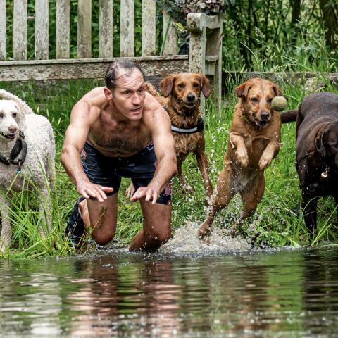 Swimming at our doggy daycare 