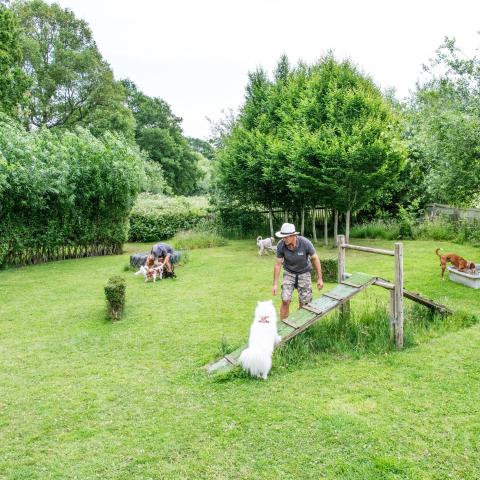 agility area