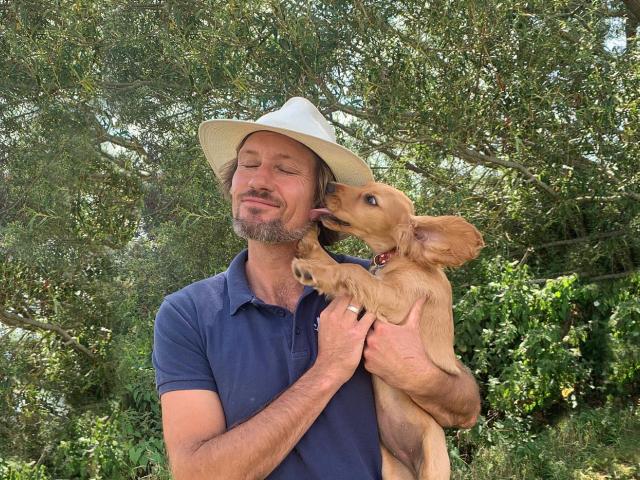 why do dogs lick us