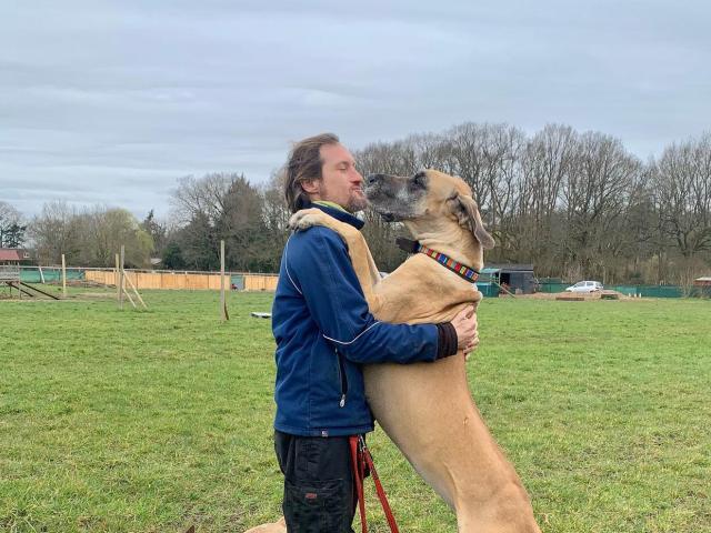 building a strong bond with your dog