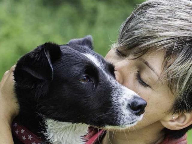 affection with your dog