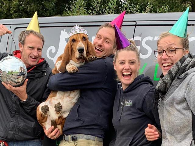 dog birthday celebration DogStroll daycare center, Wimbledon
