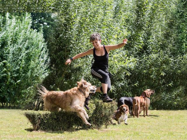 activities to do with your dog