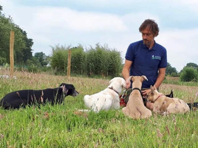 dog education