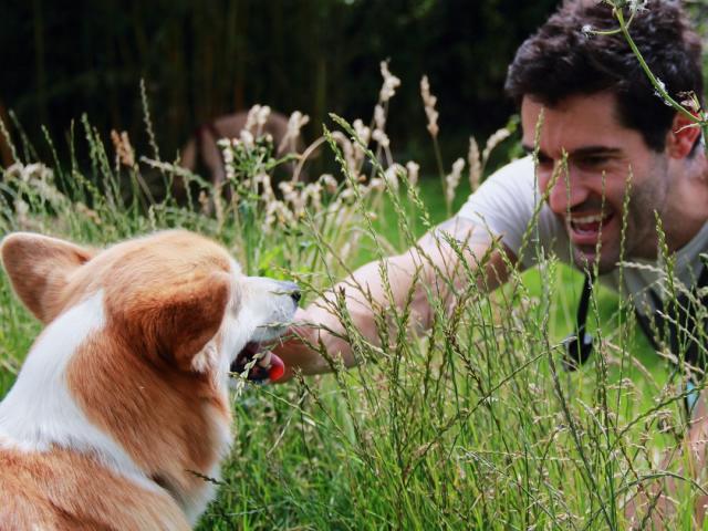 dog vet visits on site at dogstroll daycare centre