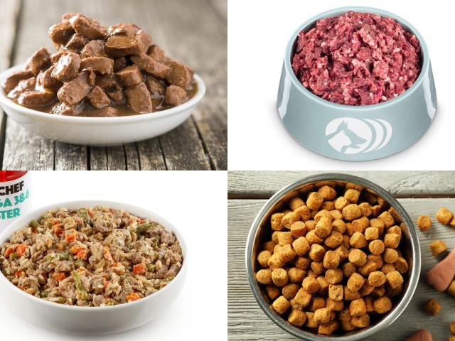 choosing your dog's diet