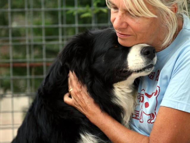 grateful adopted shelter dog