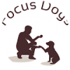 Focus Dogs
